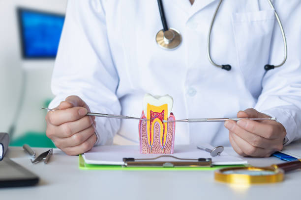 Best Emergency Root Canal Treatment in Plainview, NE